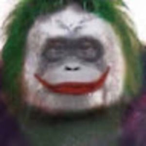 Meet your Posher, Isabella